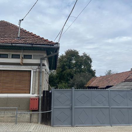 Casa Lucian Daire Cîrţişoara Dış mekan fotoğraf
